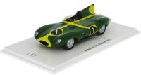 Jaguar D-Type #1 F.Francis 