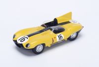 Jaguar D-Type #16 Frère-Rousselle 