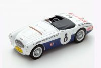Austin Healey 100S #8 Shelby-Moore 
