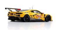 Chevrolet Corvette C8.R #33 Catsburg 